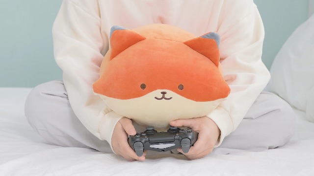 Amazon.com: Anirollz 6